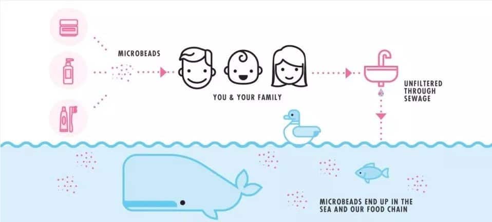 the cycle of microbeads