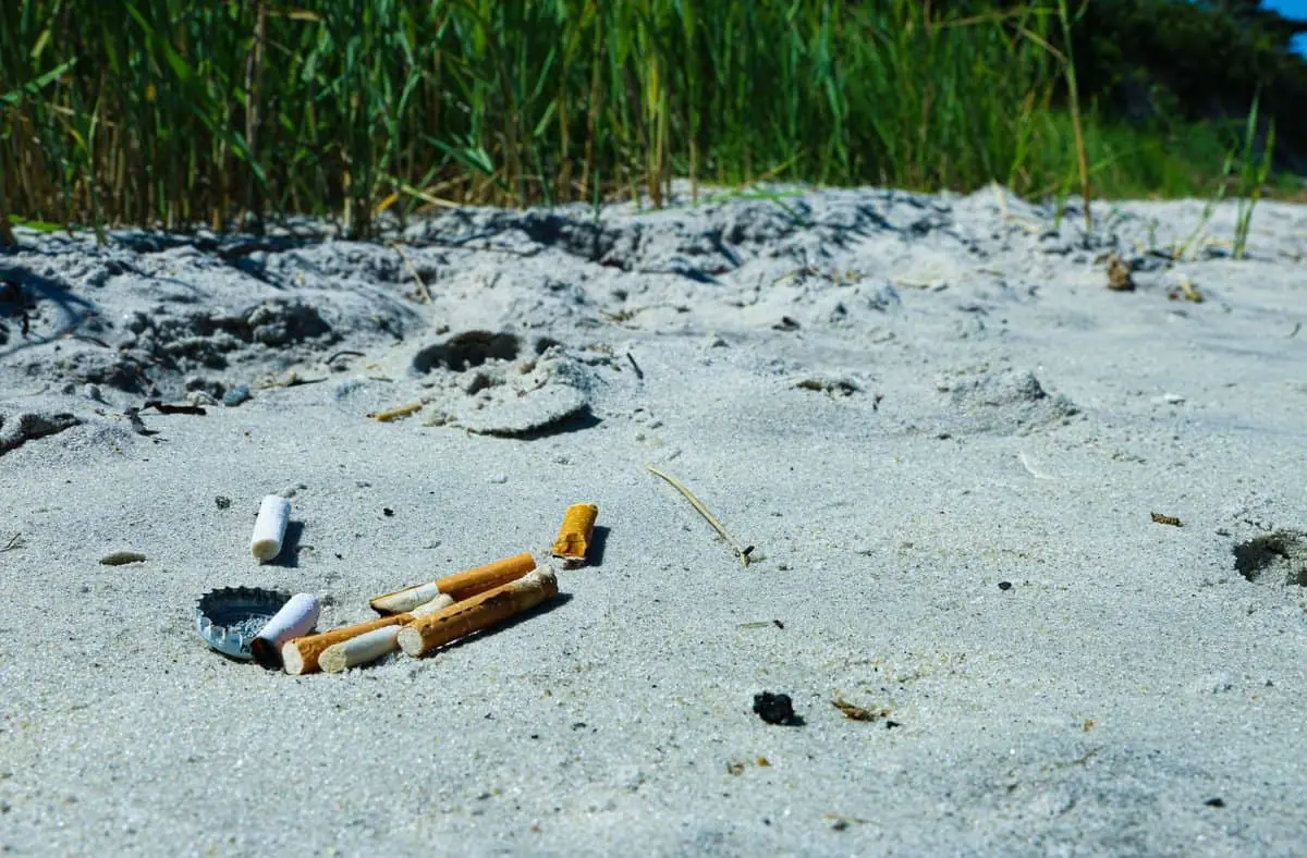 cigarette butts on beach