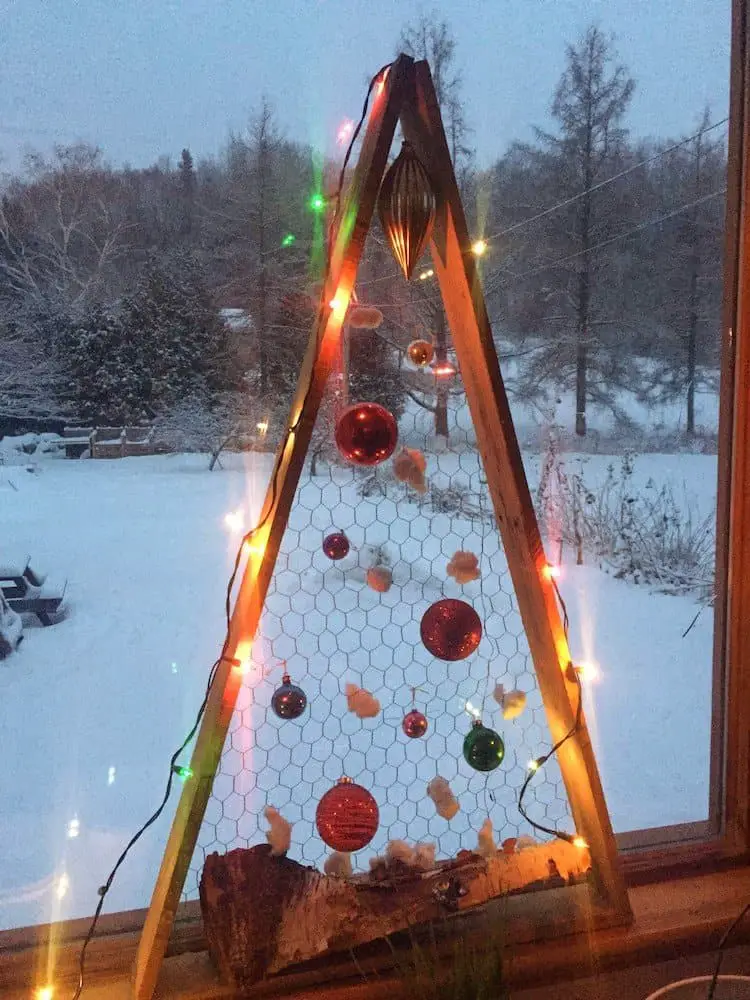 zero waste christmas tree