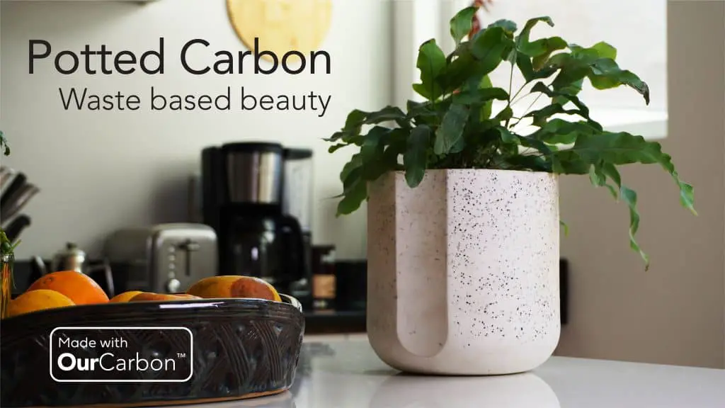 Potted Carbon Hero Pic Kitchen Low