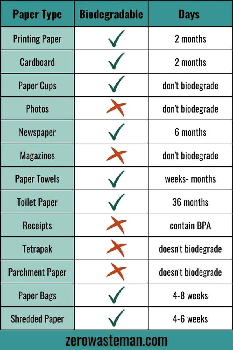 how biodegradable is paper