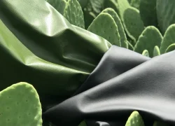 What is cactus leather and could this be the answer to sustainable leather?
