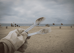 7 Eco-friendly and affordable yet disposable utensils for your green event